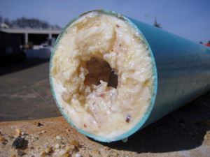 Grease clogged pipe looks like arteries.