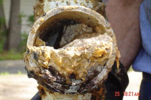 Grease clogged pipe. Bing! Image Search